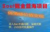 Soul掘金蓝海项目细分赛道，做情感价值变现，月入2w+不是问题