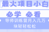 导师训练营互联网最牛逼的项目没有之一，新手小白必学，月入2万+轻轻松松