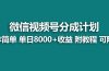 【蓝海项目】视频号分成计划最新玩法，单天收益8000+，附玩法教程