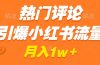 热门评论引爆小红书流量，作品制作简单，广告接到手软，月入过万不是梦