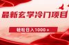 最新冷门玄学项目，零成本一单268，轻松日入1000＋