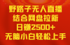 无人直播野路子结合网盘拉新，日赚2500+多平台变现，小白无脑轻松上手操作