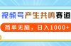 2024年视频号，产生共鸣赛道，简单无脑，一分钟一条视频，日入1000+