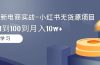 2024全新电商实战-小红书无货源项目：从0到1到100到月入10w+