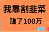 我靠割韭菜赚了 100 万