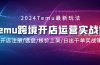 2024Temu跨境开店运营实战课，开店注册/选品/核价上架/日出千单实战课