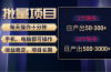 红利项目稳定月入过万，无脑操作好上手，轻松日入300+