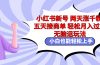 小红书新号两天涨千粉五天接商单轻松月入过万 无脑搬运玩法 小白也能轻…