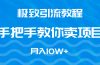 极致引流教程，手把手教你卖项目，月入10W+