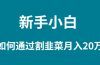 新手小白如何通过割韭菜月入 20W