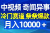 中视频奇闻异事，冷门赛道条条爆款，月入10000＋
