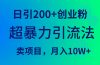 超暴力引流法，日引200+创业粉，卖项目月入10W+