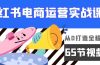 小红书电商运营实战课，​从0打造全程实操（65节视频课）