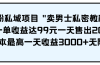 男粉私域项目 "卖男士私密教程" 每一单收益达99元一天售出20单