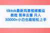tiktok最新风景视频搬运教程 简单去重 月入30000+附全套工具
