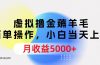 虚拟撸金薅羊毛，简单操作，小白当天上手，月收益5000+