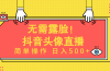 无需露脸！Ai头像直播项目，简单操作日入500+！