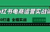 最新小红书·电商运营实战课，从0打造  全程实战（65节视频课）