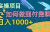 [实操项目]付费群赛道，日入1000+