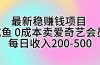 最新稳赚钱项目 咸鱼 0成本卖爱奇艺会员 每日收入200-500