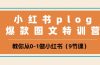 小红书 plog爆款图文特训营,教你从0-1做小红书(9节课)