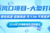 2024年5月最新风口项目，抓住机遇，迎接挑战，月入3w+，不再是梦