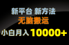 新平台新方法，无脑搬运，月赚10000+，小白轻松上手不动脑