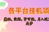 靠挂机，在家躺平轻松月入过万，适合宝爸宝妈学生党，也欢迎工作室对接
