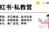 小红书 私教营 底层逻辑/定位赛道/账号包装/涨粉变现/月变现10w+等等-41节