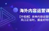 海外内容 运营课【中视频】多种内容运营玩法 风口正当时 掘金好时机-101节