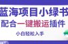 蓝海项目小绿书，配合一键搬运插件，小白轻松入手