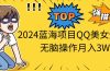 2024蓝海项目QQ美女短视频无脑操作月入3W+