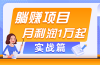 躺赚副业项目，月利润1万起，当天见收益，实战篇