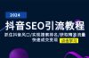 抖音 SEO引流教程：抓住抖音风口/实现搜索排名/获取精准流量/快速成交变现