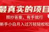 最真实的项目,照抄答案,有手就行,新手小白月入过万轻轻松松