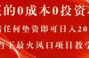 真正的0成本0投资项目,无需任何垫资即可日入2000+,当下最火风口项目教学