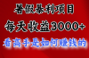 暑假暴利项目,每天收益3000+ 努努力能达到5000+,暑假大流量来了