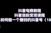 抖音电商教程:抖音涨粉变现课程:如何做一个赚钱的抖音号(18节)