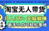淘宝无人带货3.0高收益玩法，月入3万+，无脑躺赚，新手小白可落地实操