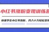 2024小红书涨粉变现训练营，快速学会小红书涨粉，月入十万轻松变现(40节)