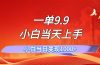 一单9.9，一天轻松上百单，不挑人，小白当天上手，一分钟一条作品