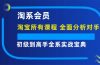 淘系会员【淘宝所有课程，全面分析对手】，初级到高手全系实战宝典
