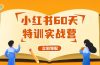 小红书60天特训实战营（系统课）从0打造能赚钱的小红书账号（55节课）