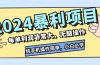 2024暴利项目，每单利润非常大，无脑操作，纯手机操作简单，小白必学项目