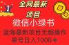 全网最新项目，微信小绿书，做第一批吃肉的人，一天十几分钟，无脑单号…