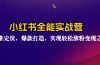 小红书全能实战营：精准定位，爆款打造，实现轻松涨粉变现之旅