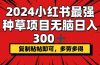 2024小红书最强种草项目，无脑日入300+，复制粘帖即可，多劳多得