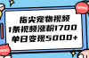 指尖宠物视频，1条视频涨粉1700，单日变现5000+