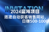 2024蓝海项目，搭建销售网站，自动获客，日赚500-1000
