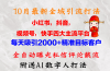10月最新小红书，抖音，视频号，快手四大平台全域引流，，每天吸引2000…